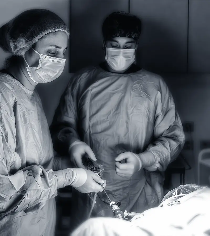 Chirurgia mininvasiva clinica veterinaria i ronchi