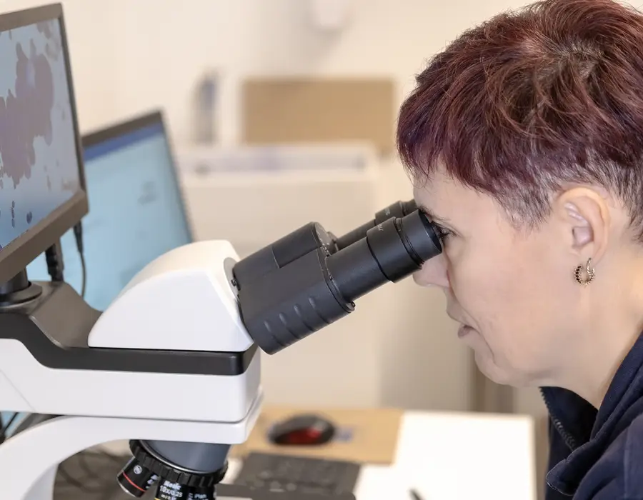 attrezzature veterinarie clinica veterinaria 24 ore i ronchi gallarate