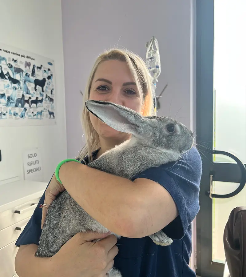 clinica i ronchi Veterinario animali esotici