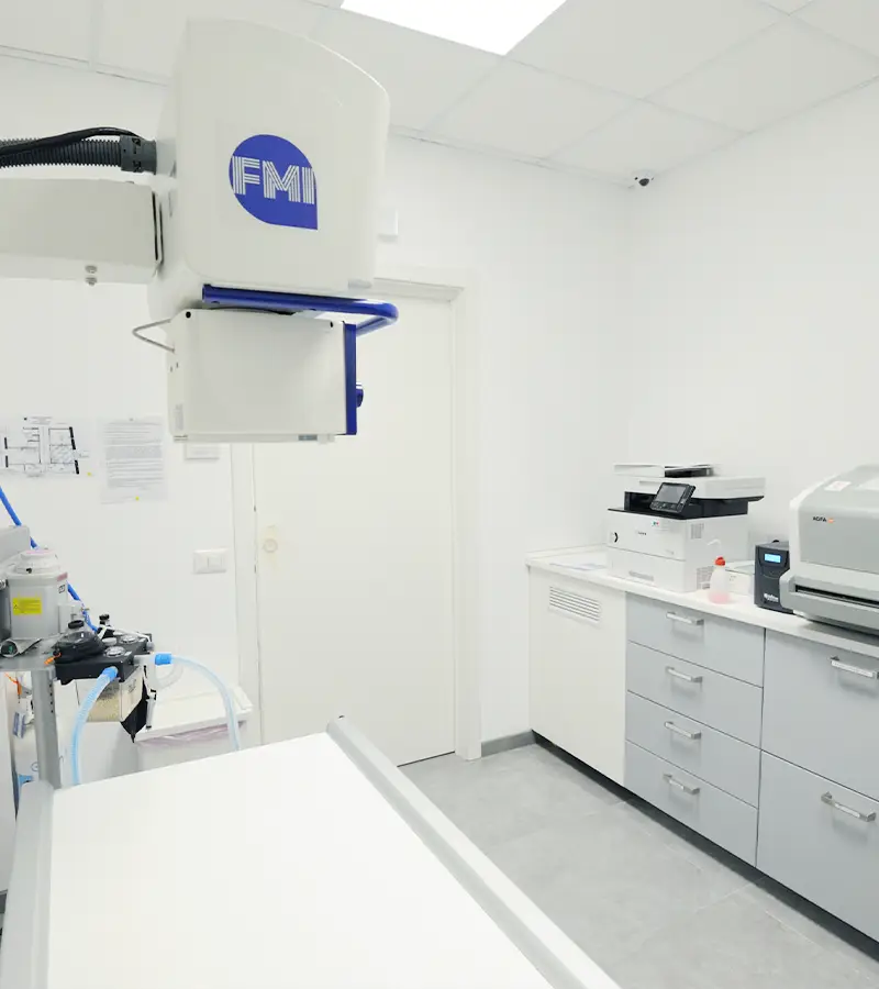 diagnostica veterinaria tc e rm clinica i ronchi