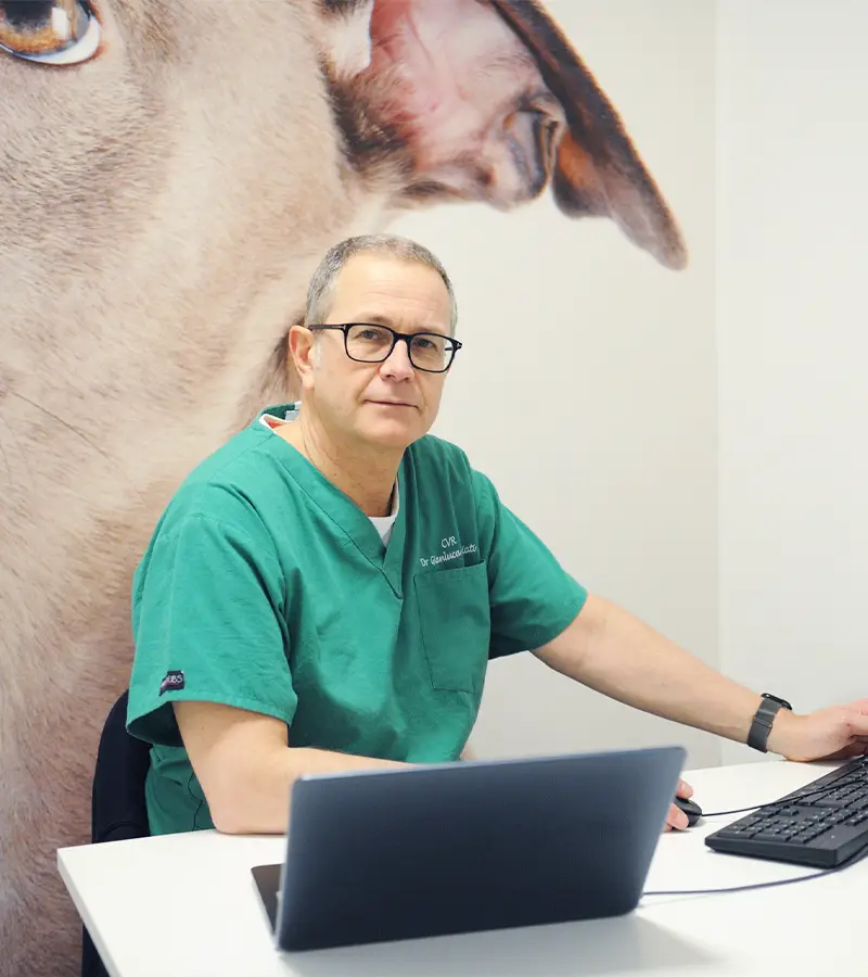 medici veterinari specialistici clinica veterinaria gallarate