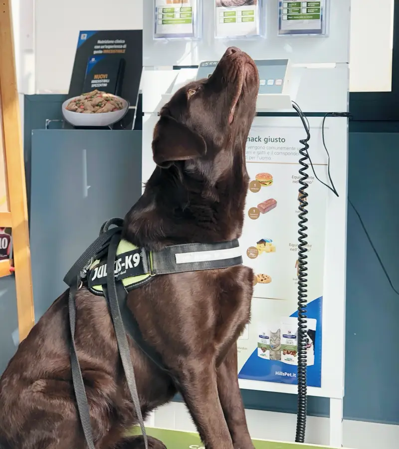 nutrizionista veterinario clinica i ronchi gallarate