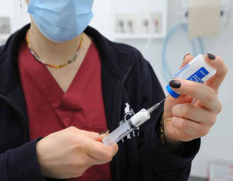 terapie veterinarie 24 ore i ronchi gallarate